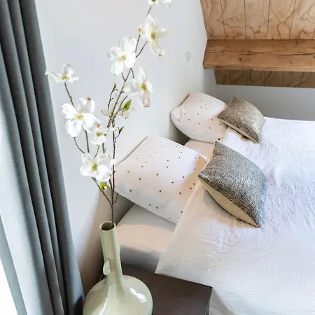 Newly Built Nature Villa, Wifi And Clean Apartment Ledeacker